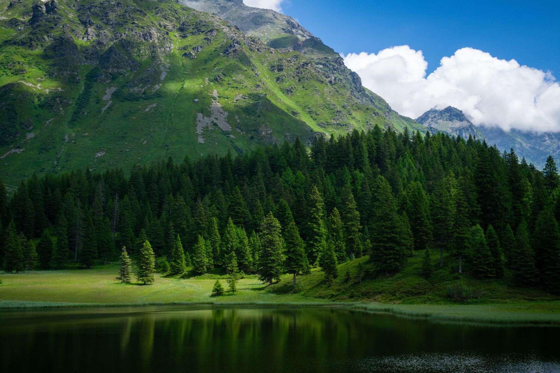 Ecology’s Warning Shot: The Planet Is Crossing from Alarm to Exposure