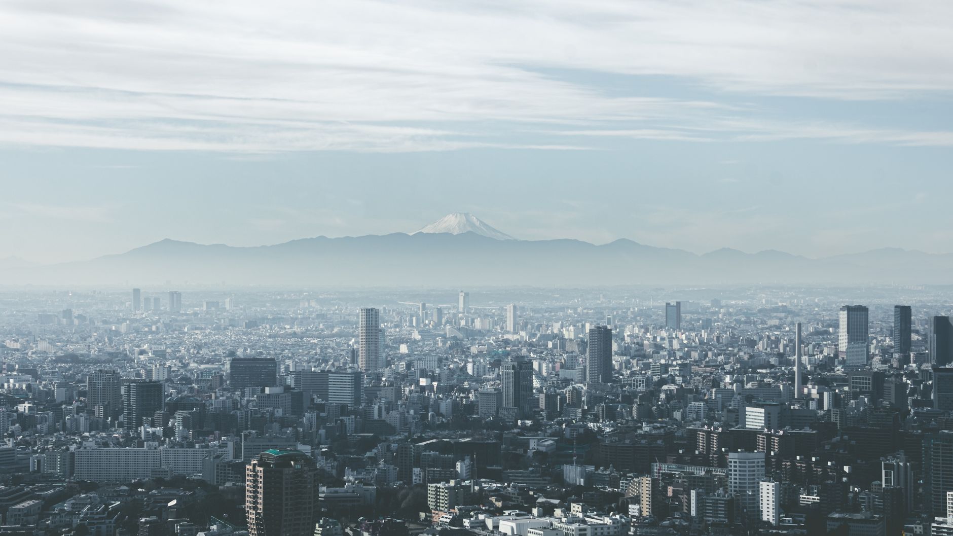 Japan’s Test of Economic Renewal and Political Trust