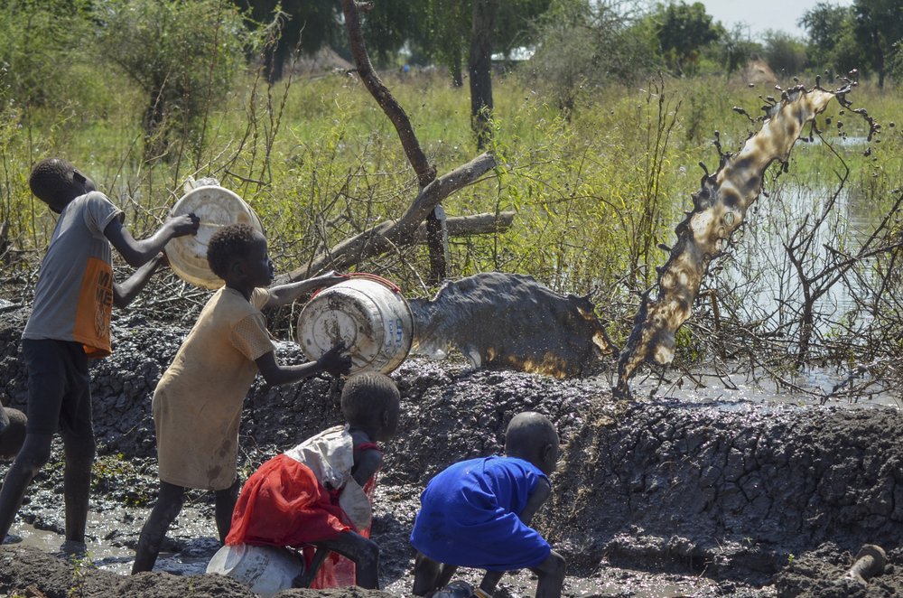 Climate Action Must Move From Pledges to Protection